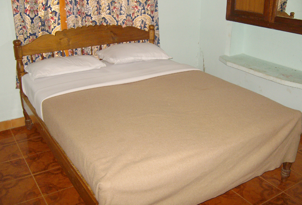Allens Homestay Munnar